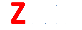 Ziyin Worku Logo